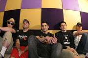 ZEBRAHEAD